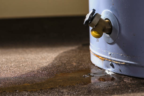 Reliable Seneca Knolls, NY Water damage restoration Solutions