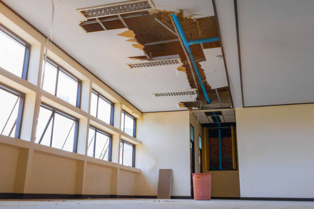 Best Flooded house restoration  in Seneca Knolls, NY