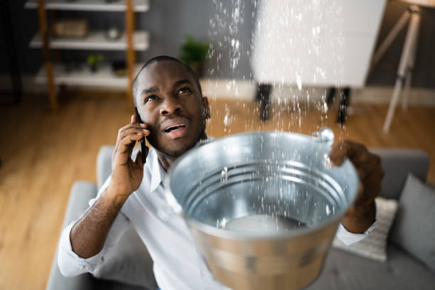 Best Carpet water damage restoration  in Seneca Knolls, NY
