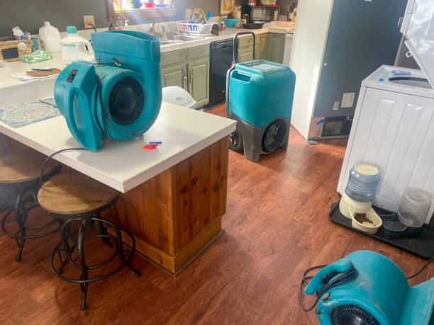 Best Water damage restoration near me  in Seneca Knolls, NY
