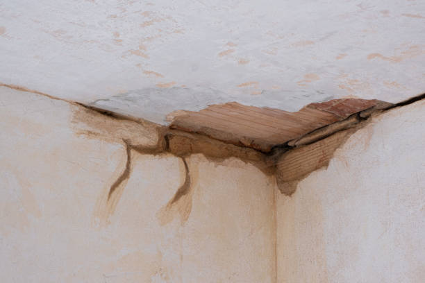 Best Sewage cleanup and water damage restoration  in Seneca Knolls, NY