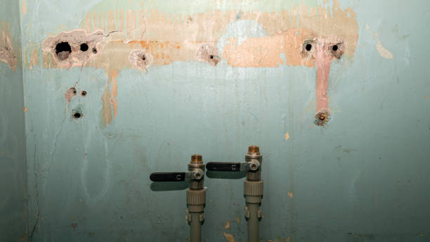 Best Flood damage cleanup  in Seneca Knolls, NY