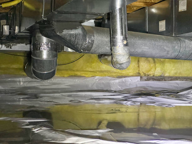 Best Ceiling water damage repair  in Seneca Knolls, NY