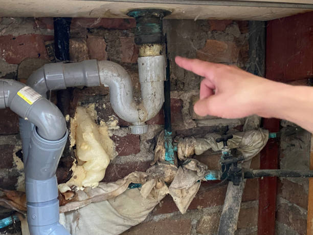 Best Flooded house restoration  in Seneca Knolls, NY