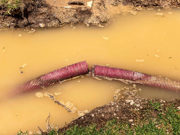 Best Commercial water damage restoration  in Seneca Knolls, NY