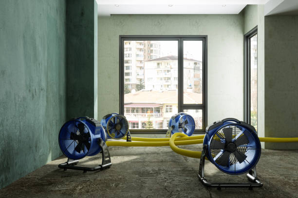 Best 24-hour water damage restoration  in Seneca Knolls, NY